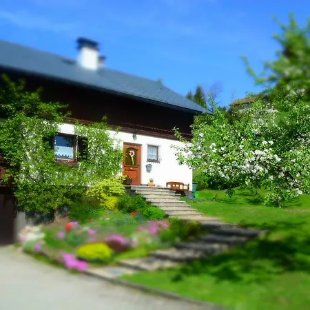 Ivkadan Apartman Bad Aussee